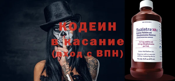 шишки Саяногорск