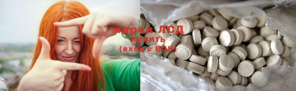 шишки Саяногорск