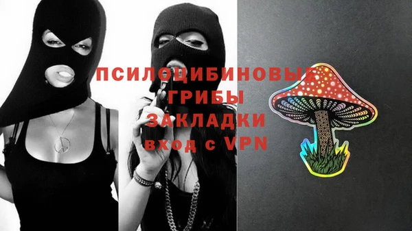 spice Алексин