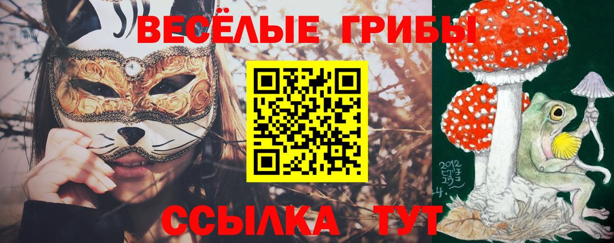 Звенигород  Псилоцибиновые грибы мицелий  Вход с VPN 